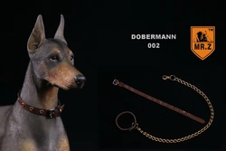 4 Fantastique collier de chien d'armée ELITE SPANKER
