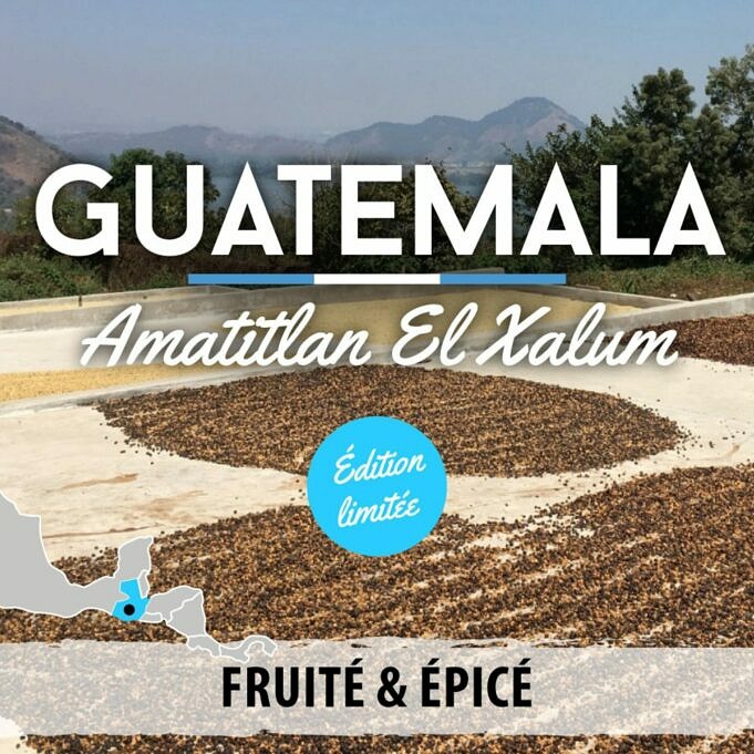 Cafe Guatemalteque Huehuetenango. Histoire Du Haricot Et Guide Des Saveurs