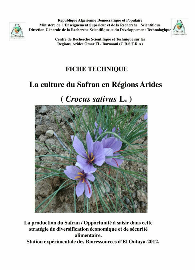 Guide Crocus. Instructions D'entretien Et De Culture Des Fleurs De Crocus