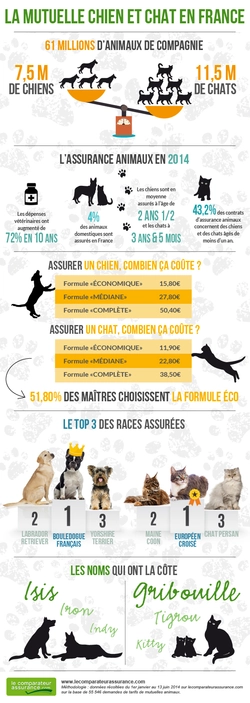 Les Assurances Pour Animaux De Compagnie ASPCA Hartville Et Waffle Sontelles Lies